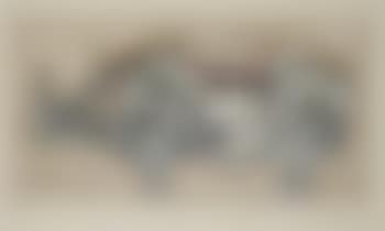 La mémoire du rhinocéros (preview)
