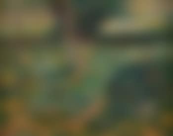Paysage (preview)