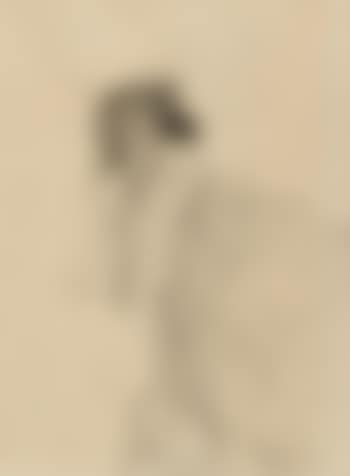 Slapende vrouw (preview)