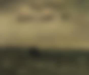 Marine (preview)