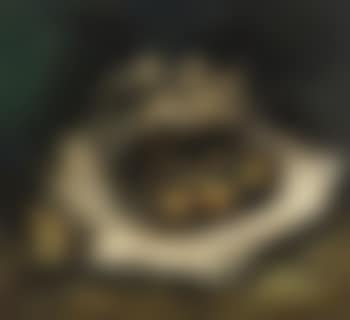 Stilleven (preview)