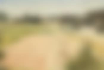 Landschap te Sint-Genesius-Rode (preview)