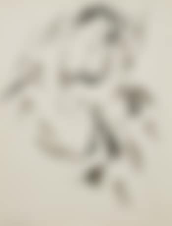 Nu (preview)