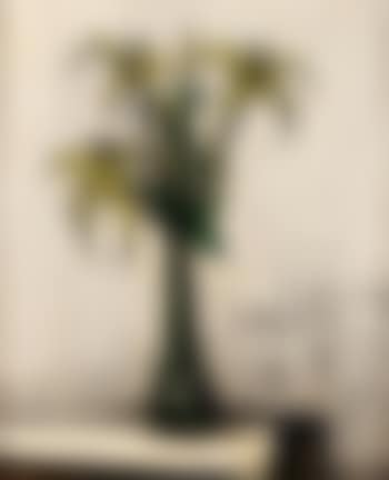 Liliums dans un vase (preview)