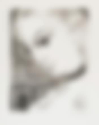 Anne de face (preview)