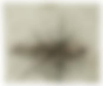 Bataille (preview)