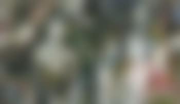 De familie (preview)