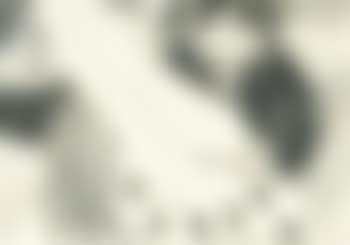 Untitled - Zonder titel (preview)