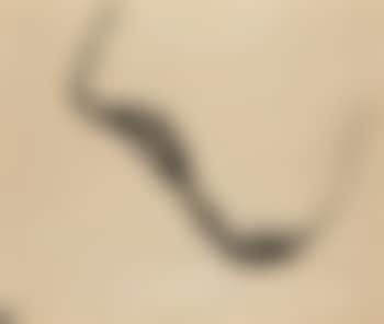 Sans titre (preview)