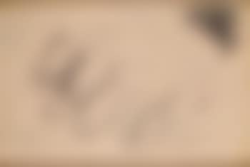 Sans titre (preview)