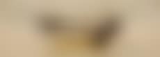Table basse (preview)