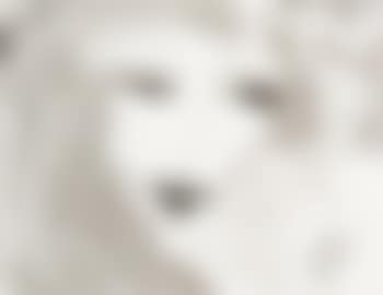 Untitled (Portrait of a lady) (preview)