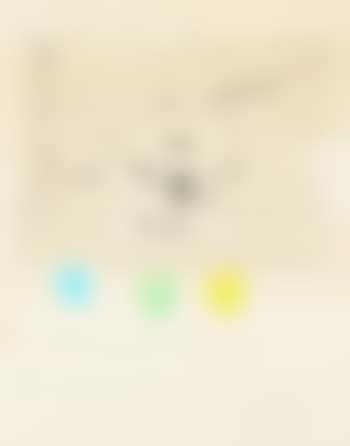 Colors & flower (preview)
