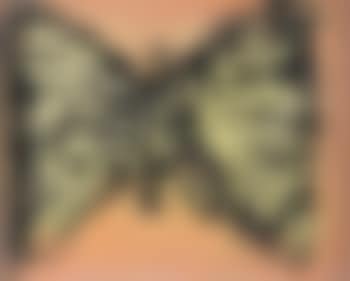 Kimino (Butterfly) (preview)