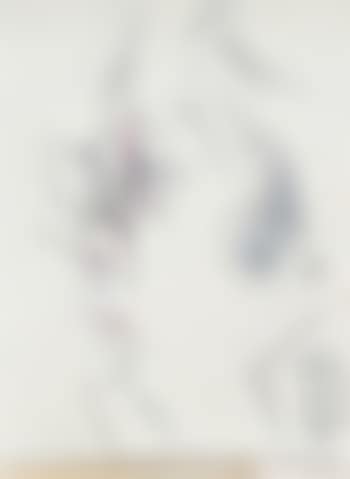 Selbstbildnis (preview)
