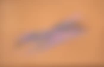 Griffures (preview)
