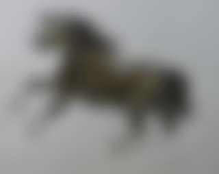 Study of a rearing cob style horse (preview)