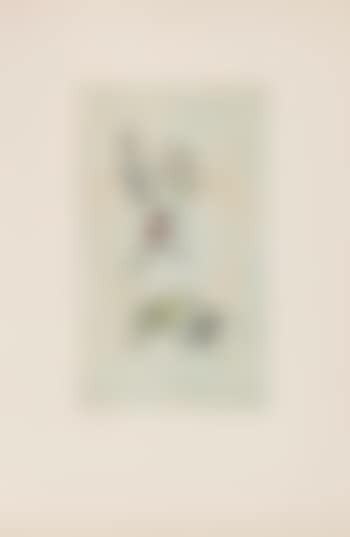 Pyramide (preview)