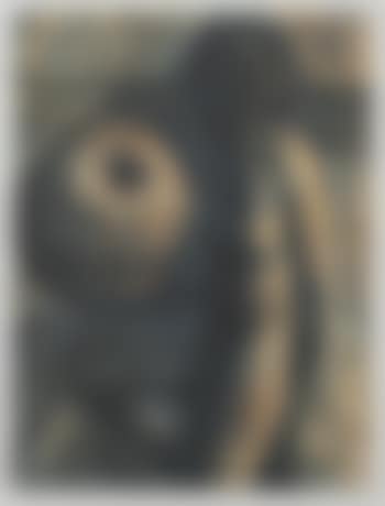 Desnudo sentado con fruta (preview)