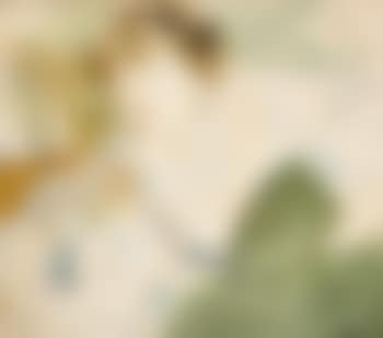 Hermine lisant (preview)