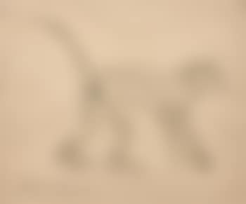 Singe (preview)