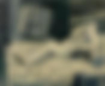 Nu allongé dans un intérieur (preview)