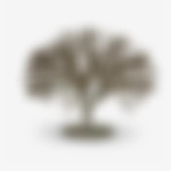 Bush (preview)