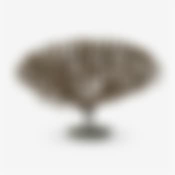 Bush (preview)