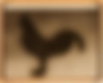 Zip Rooster (preview)