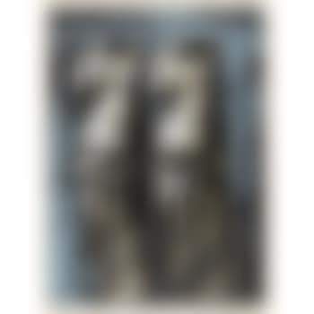 Double Venus In The Sky At Night (preview)