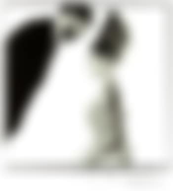 Audrey Hepburn and Mel Ferrer (preview)