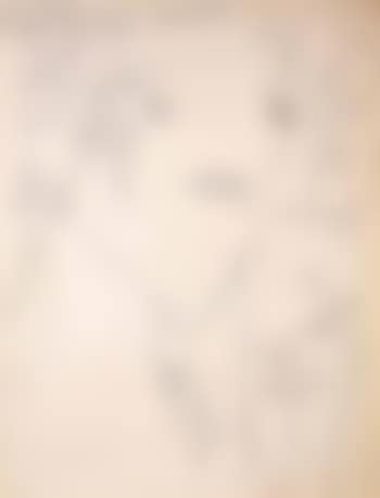 Unidentified male (preview)