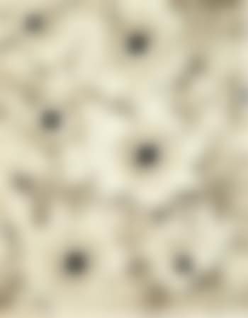 Untitled (Flowers) (preview)