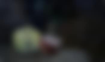 Nature morte aux pommes (preview)