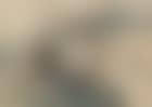 Banquet (preview)