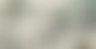 Landscape in Classic Style (preview)
