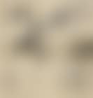 Miscellaneous Album (preview)