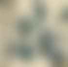 Seasonal Landscapes (preview)