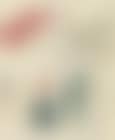 Flora (preview)