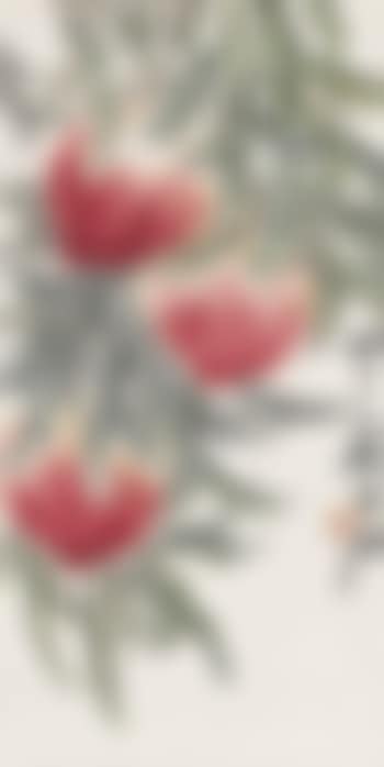 Peaches (preview)