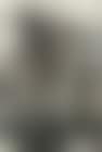 Landscape (preview)