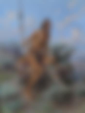 Watchful Waiting (preview)
