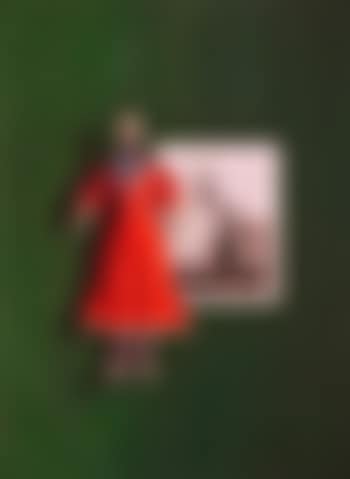 The Doll with the Red Dress (preview)