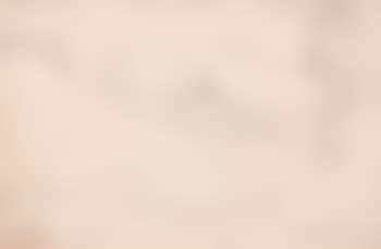 Paysage (preview)