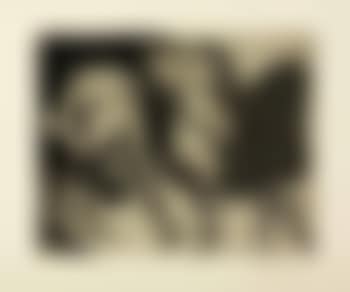 Nose 23 (preview)