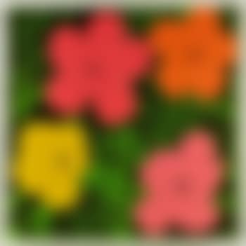 Flowers (preview)