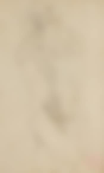 Personnage (preview)