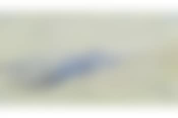 Landscape (preview)