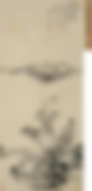 Landscape (preview)