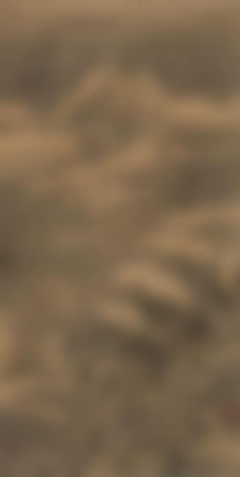 Landscape (preview)